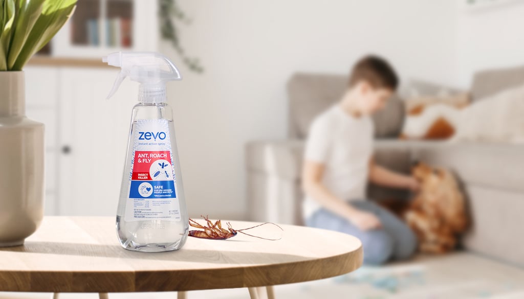 Protect Your Home From Bugs