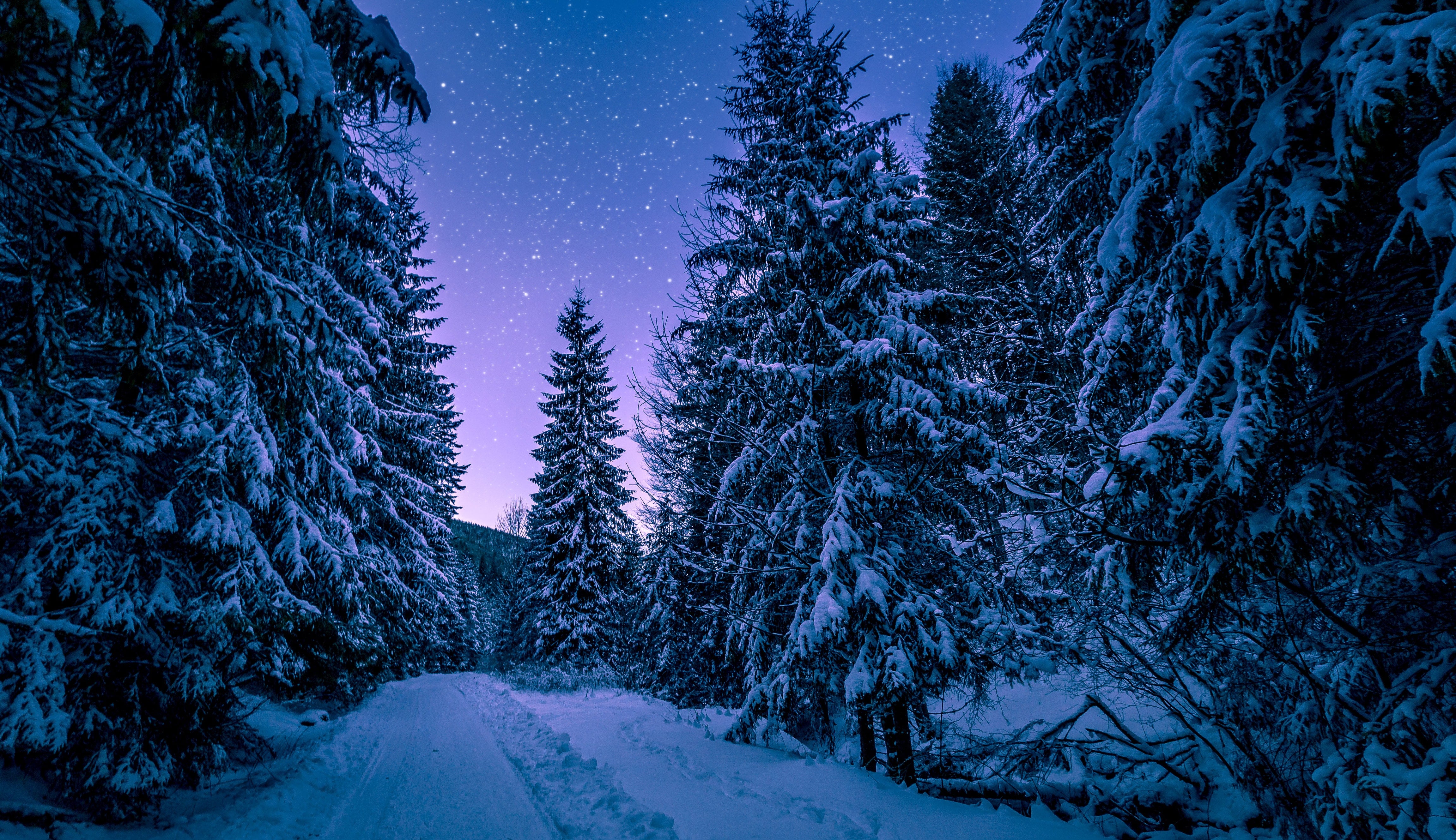 snow night photography