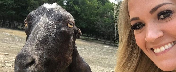 Carrie Underwood's Cute Instagram Pictures