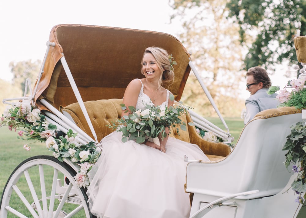 Wedding With a Horse-Drawn Carriage