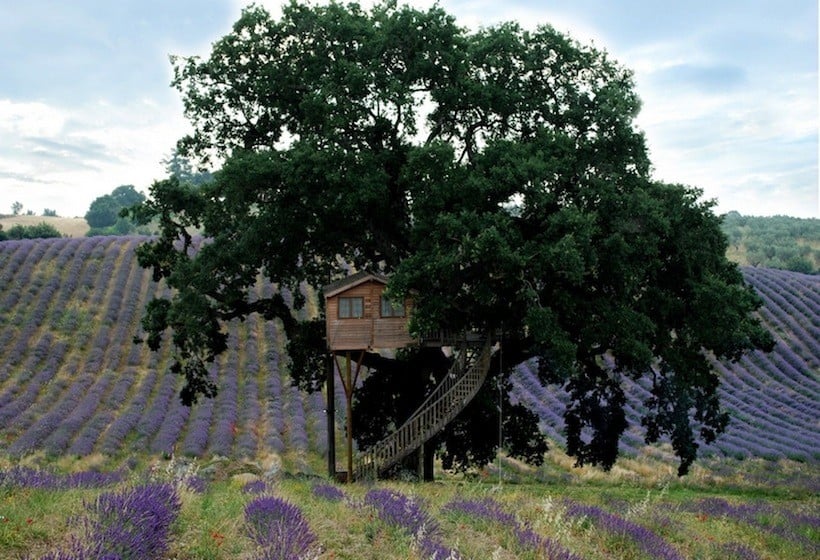 Suite Bleue Tree House, La Piantata, Italy