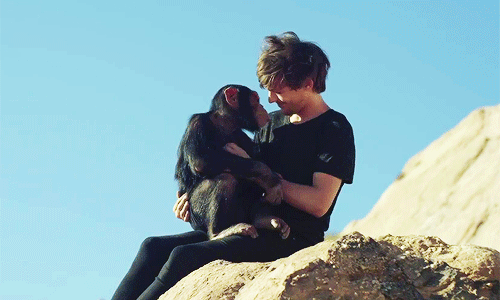 Phase 3: When you totally wish you were this monkey