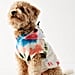 Best Dog Coats and Jackets | 2020