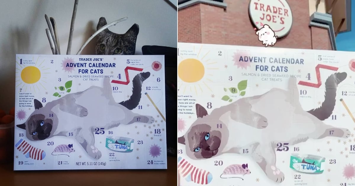 Trader Joe s Advent Calendars For Cats 2019 POPSUGAR Pets