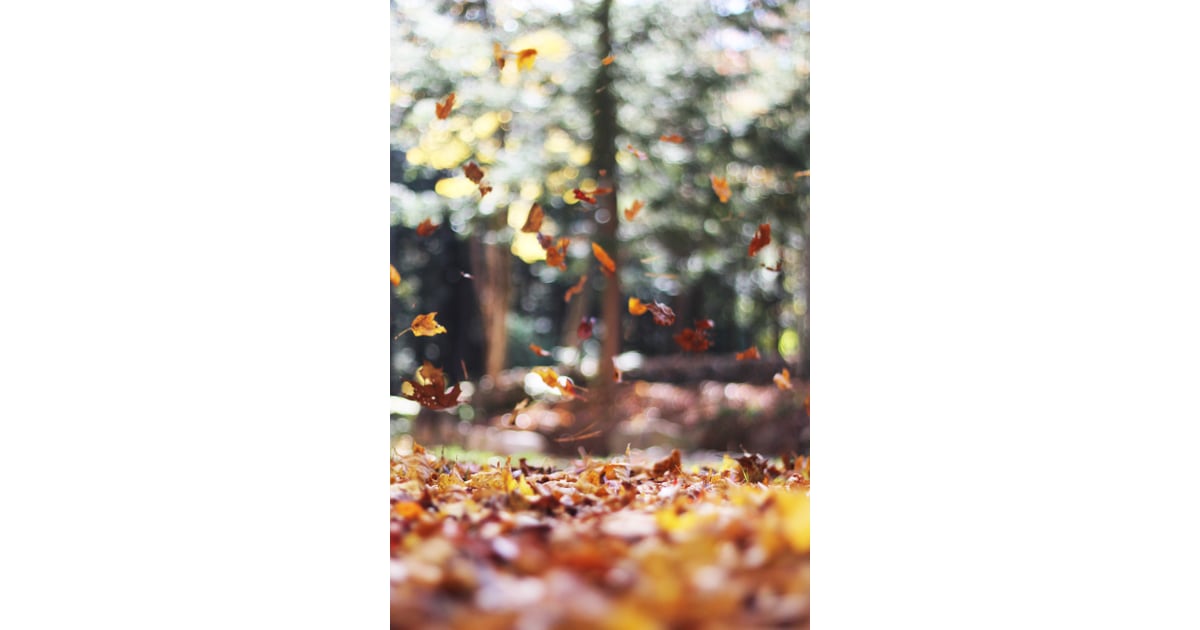 Falling Leaves Iphone Wallpaper Best Ios 14 Fall Wallpapers For Your Home Screen Aesthetic Popsugar Tech Photo 31
