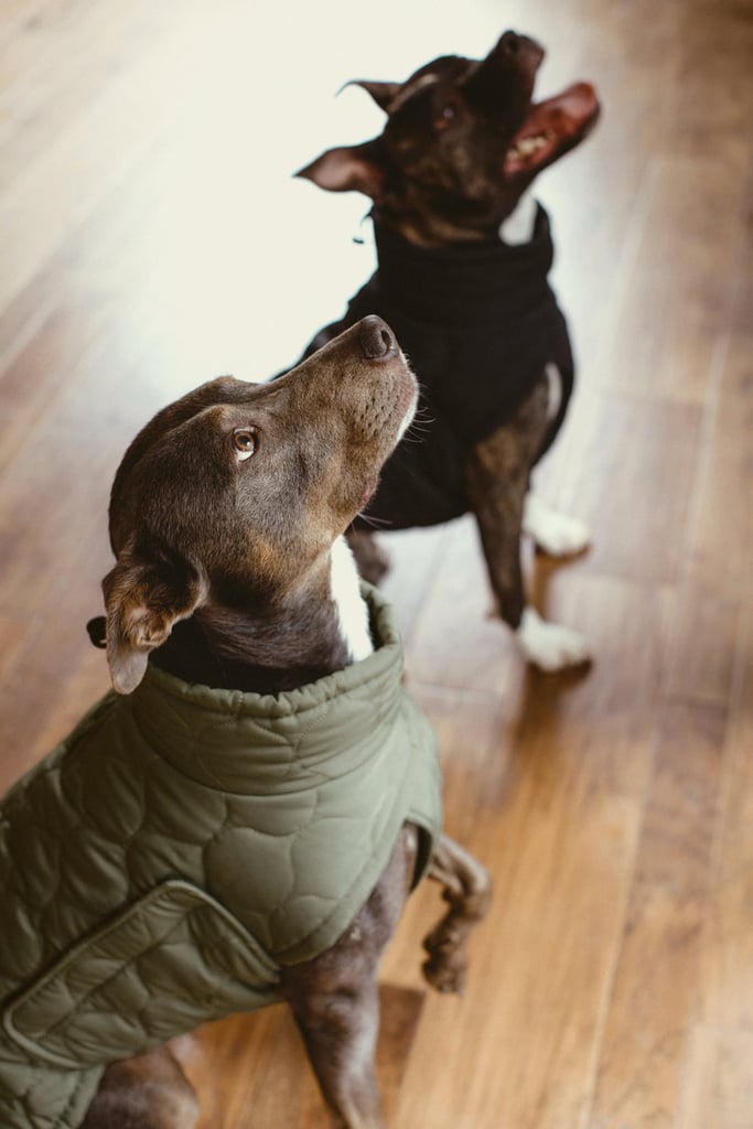 Khaki Quilted Jacket