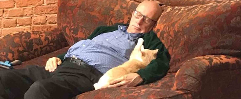 Man Naps With Cats at the Animal Shelter