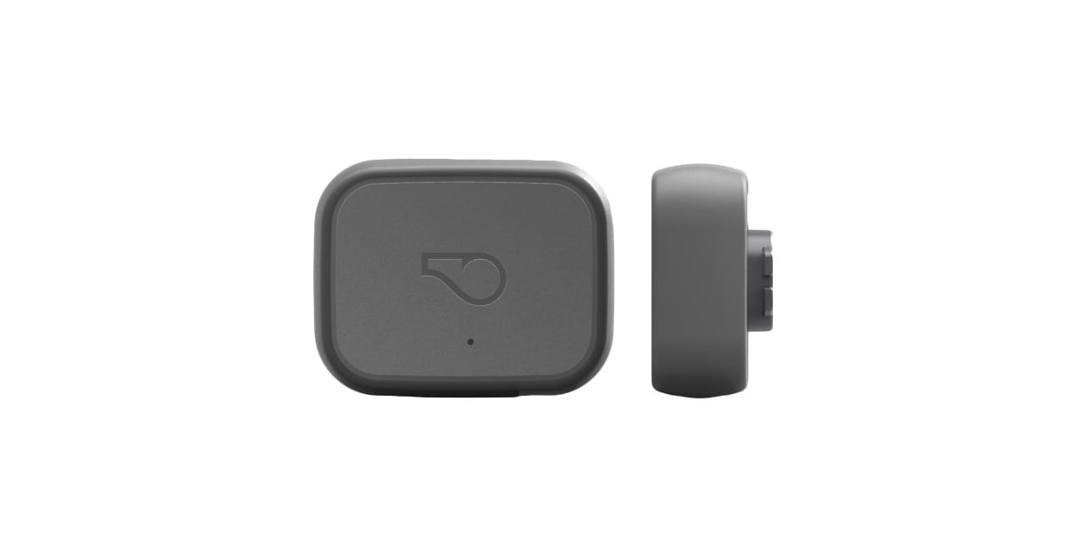 Whistle Dog and Cat GPS Tracker and Activity Monitor Best Travel
