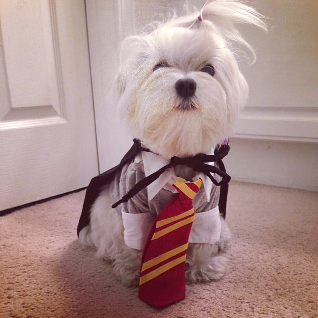 Gryffindor