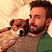 Pictures of Chris Evans and His Rescue Dog, Dodger