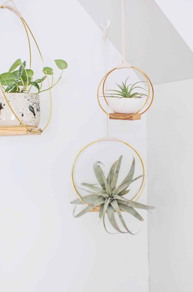 Brass Ring Hanging Planters