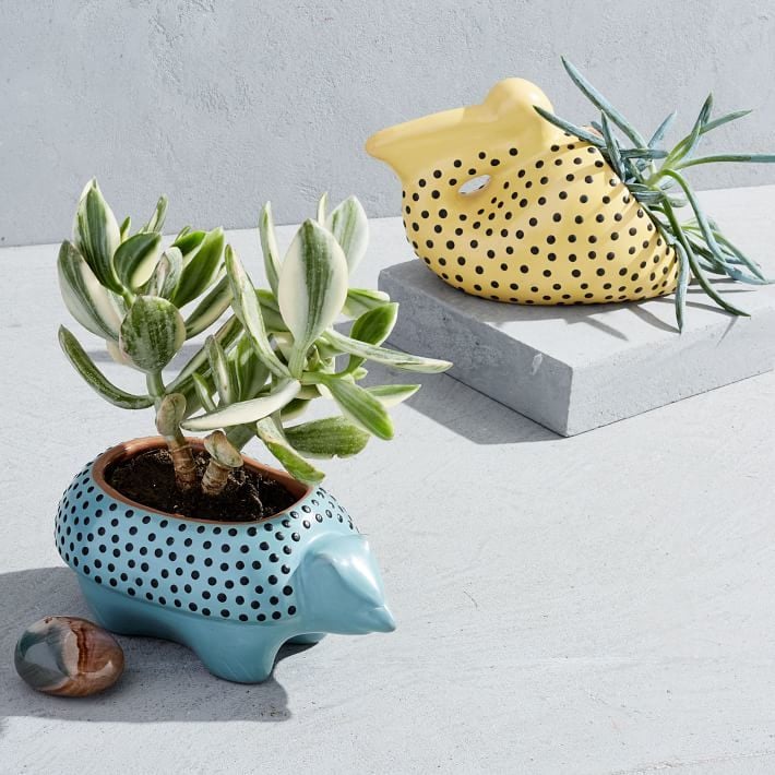 West Elm Ceramic Animal Planters