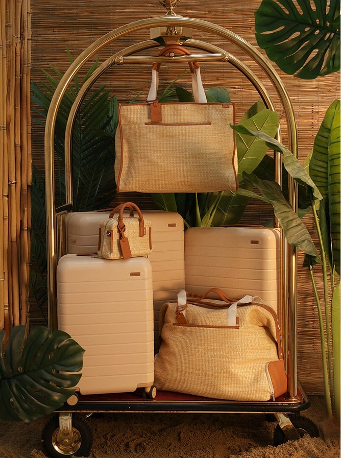 Stylish Luggage