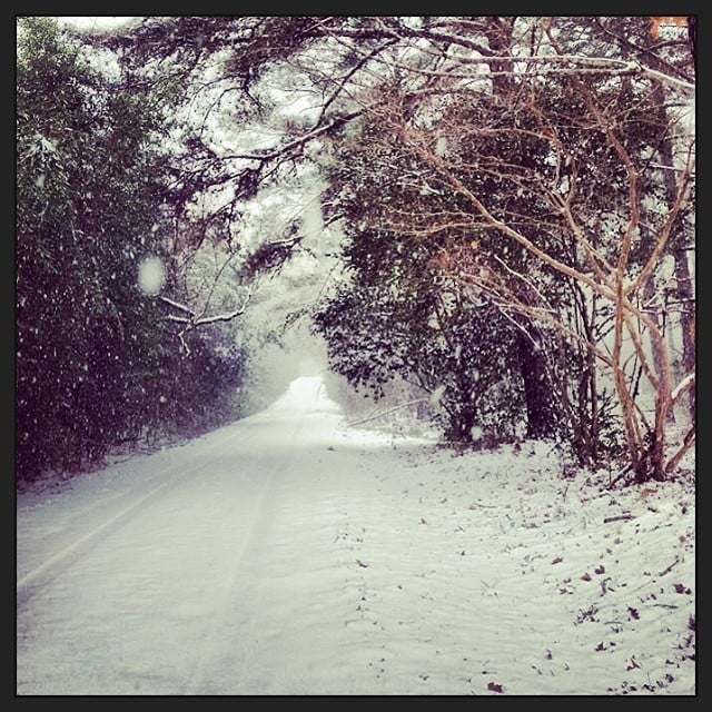 Long Alabama driveways were completely buried.