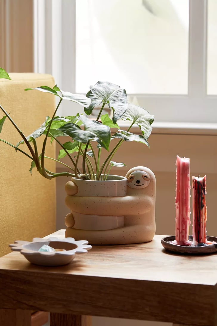 Last-Minute Gifts Under $20