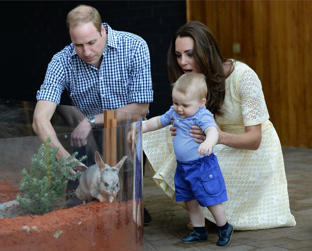 Prince George's First Encounter With a Bilby