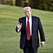 Is Trump at Mar-a-Lago Website