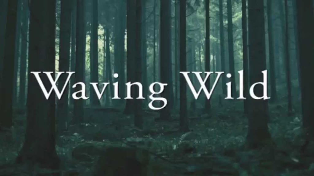 "Waving Wild," Arum Rae