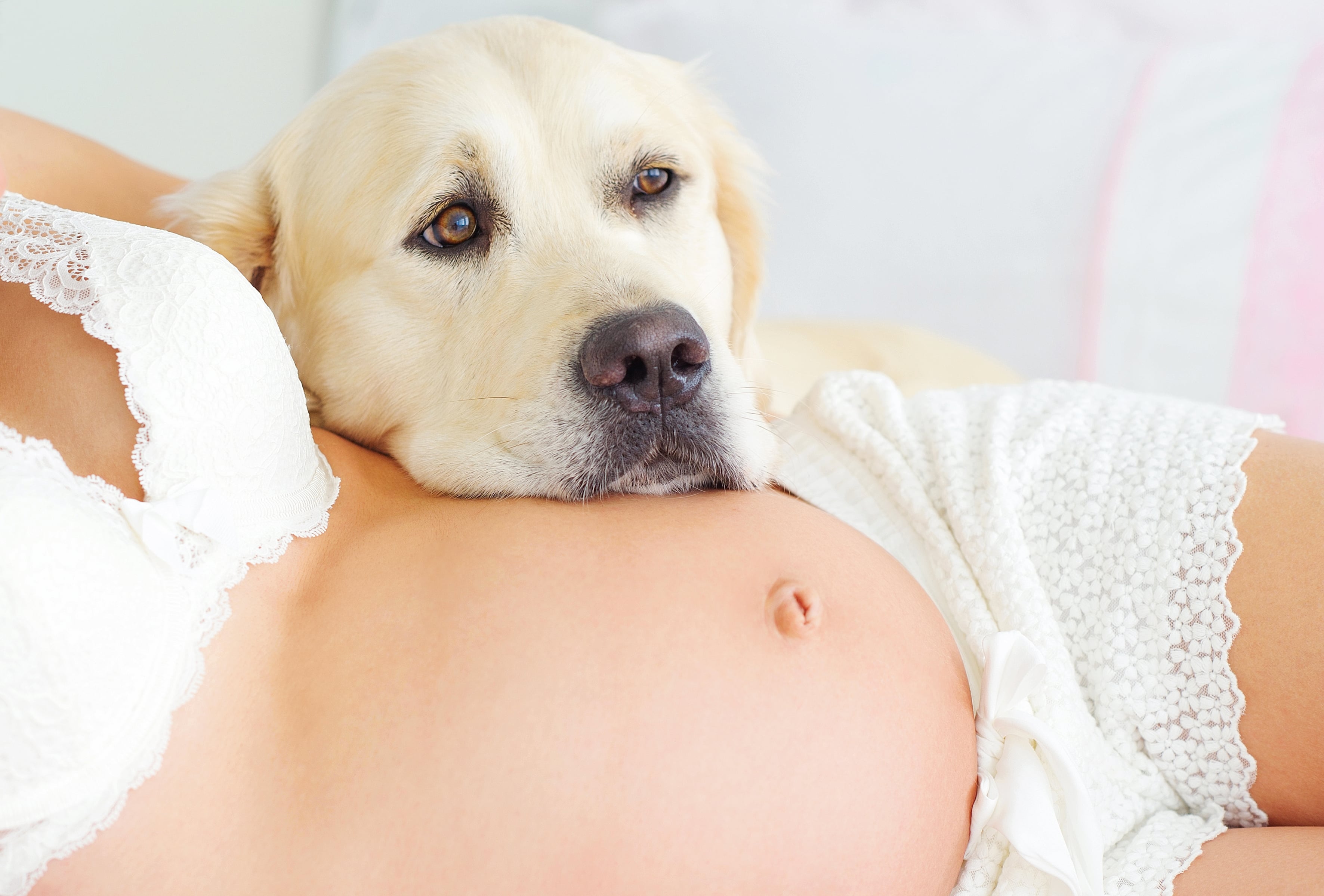How Can Pets Tell That You re Pregnant POPSUGAR Family