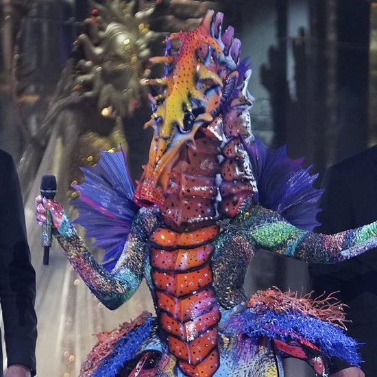Who Is the Seahorse on The Masked Singer Season 4?