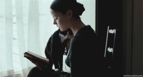 The Cat Lady