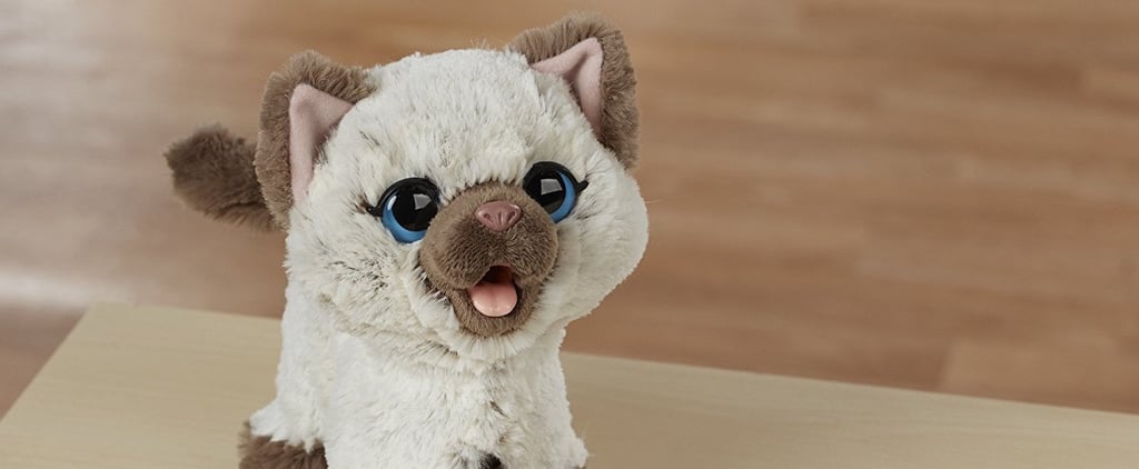 Best Pet Toys For Kids 2018