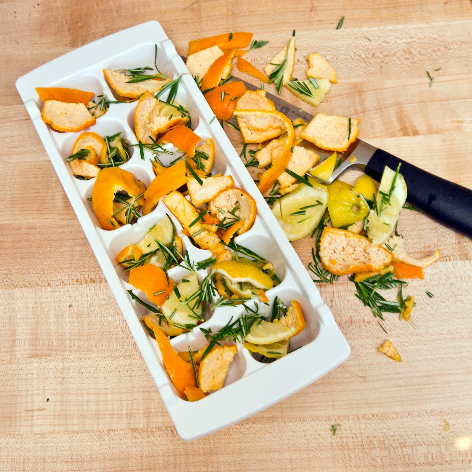 Frozen CitrusRosemary GarbageDisposal Cleaners POPSUGAR Smart Living