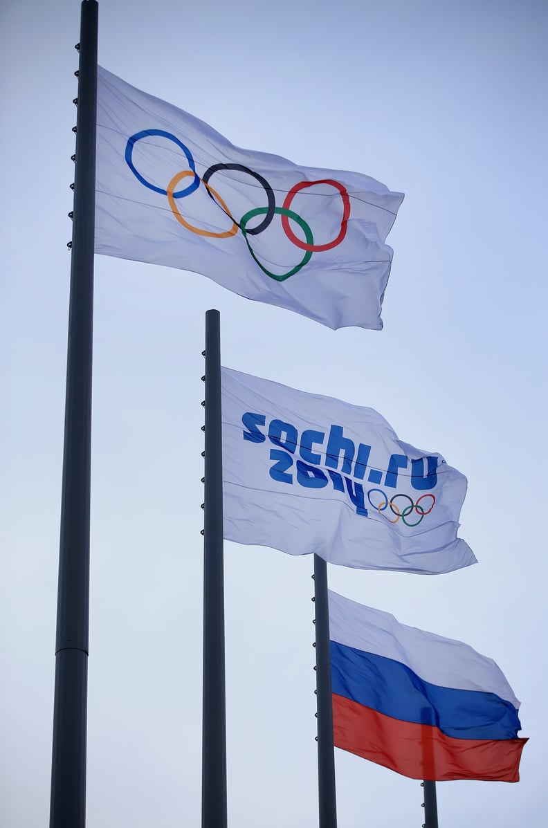 The 2014 Winter Olympics