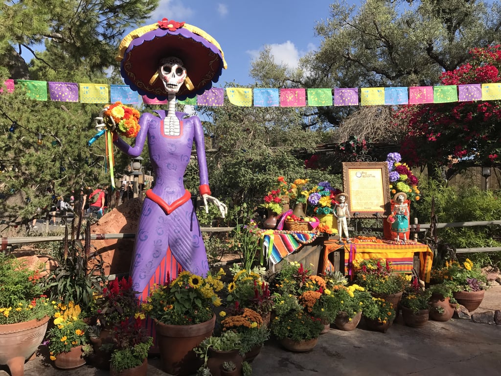There are flowers every which way at Disneyland Park's Frontierland.