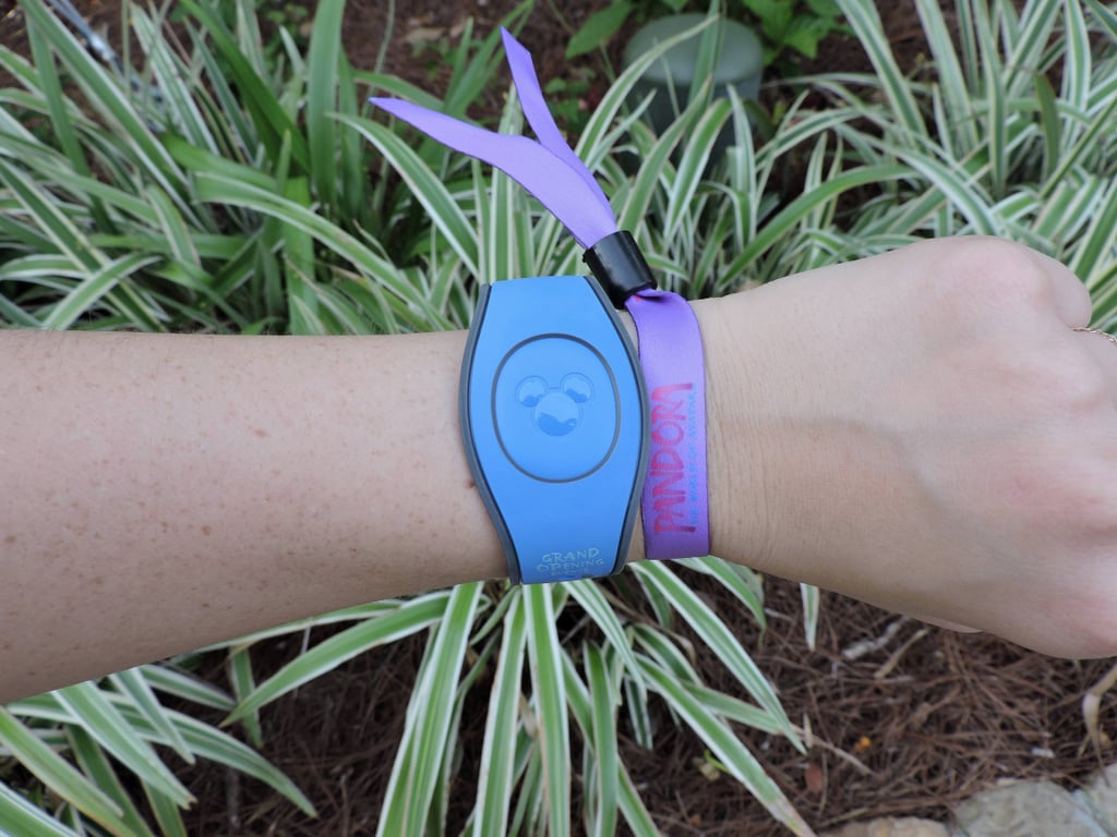 Can You Get FastPasses For Pandora World of Avatar?