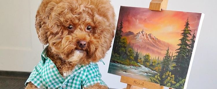 The Best Poses of the Pooch of NYC