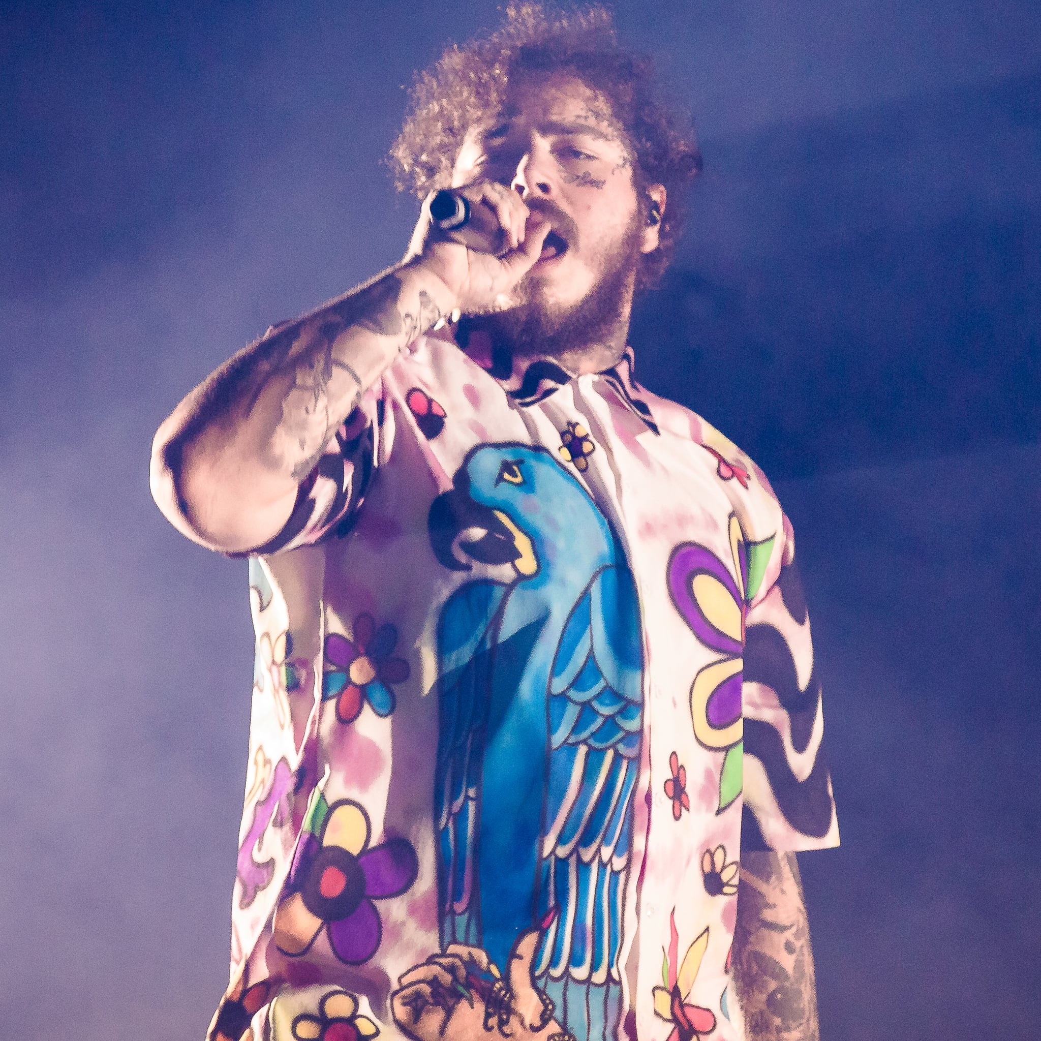 Post Malone And Ozzy Osbourne Take What You Want Song Popsugar Entertainment