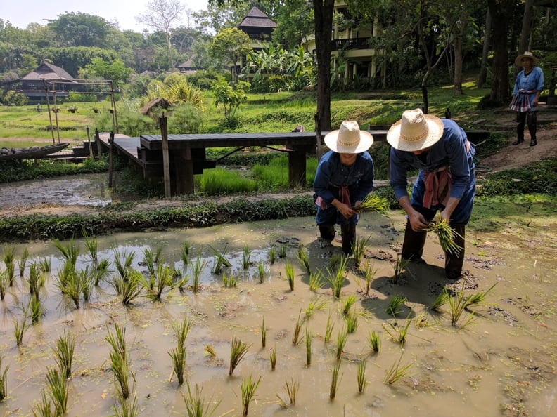 Chiang Mai: What to Do