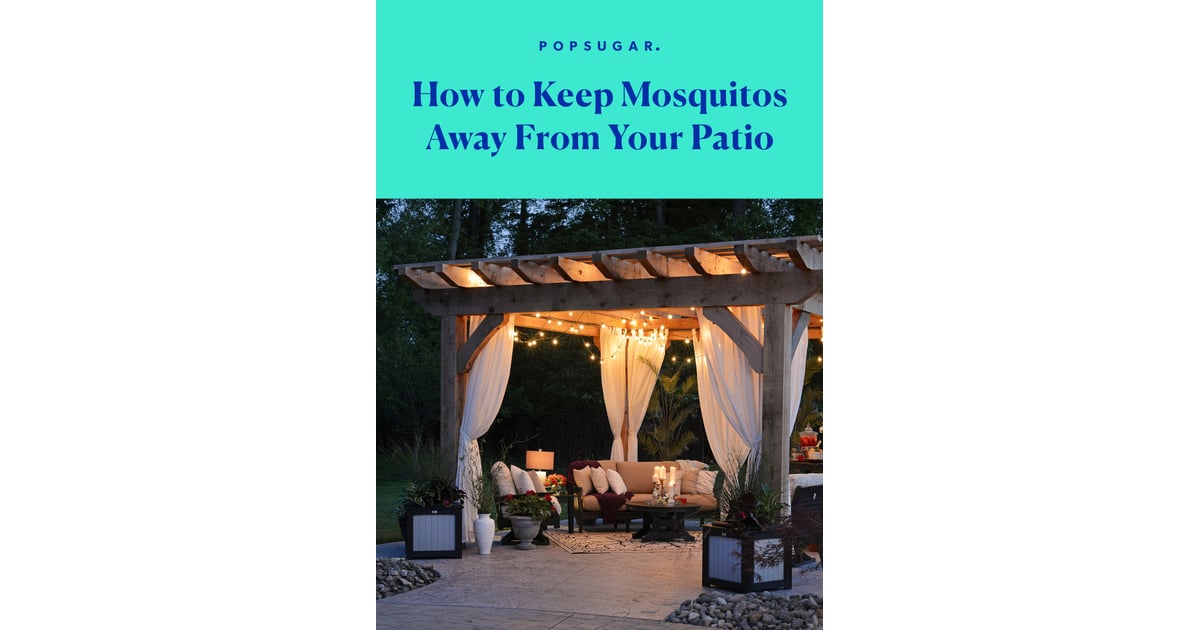 How to Keep Mosquitos Away From Your Patio POPSUGAR Home Photo 12