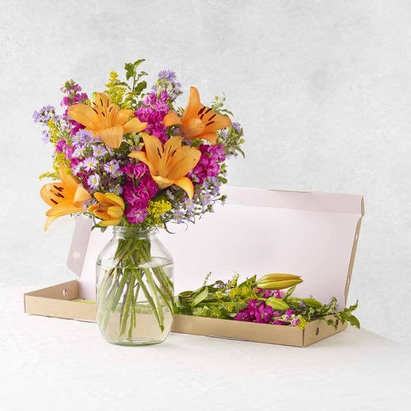 Bloom & Wild "The Jasmine" Letterbox Flowers (£25)
