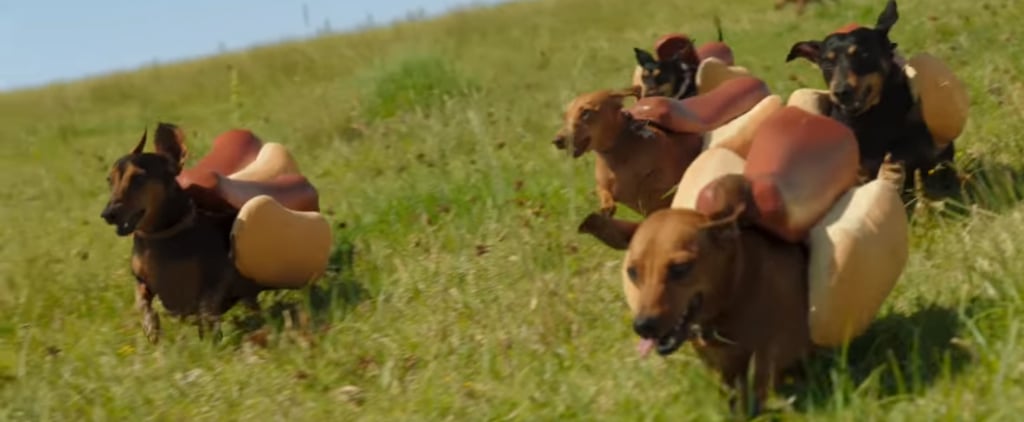 Heinz Wiener Dog Commercial Super Bowl 2016