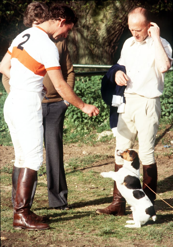 Photos of Prince Charles With Animals