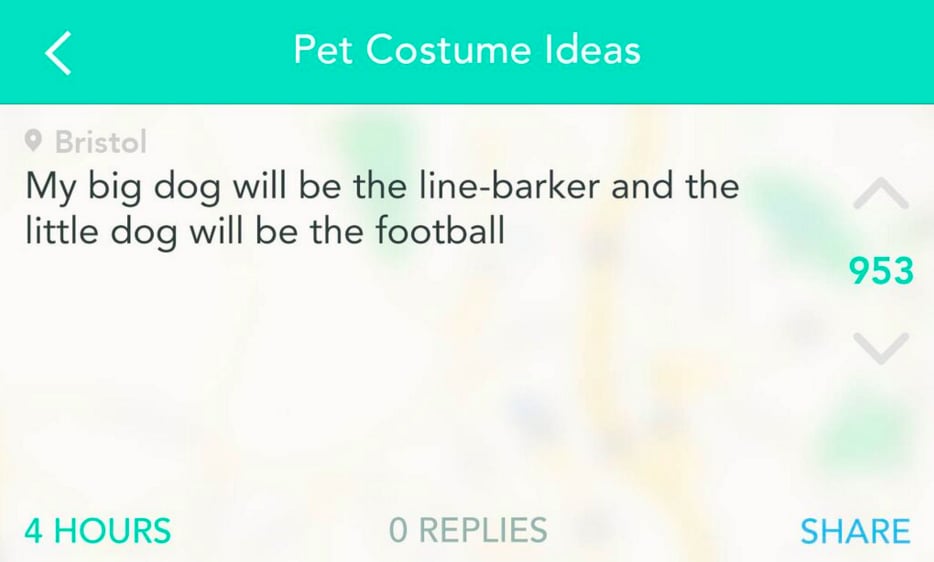 Yik Yak Users' Pet Costume Ideas For Halloween