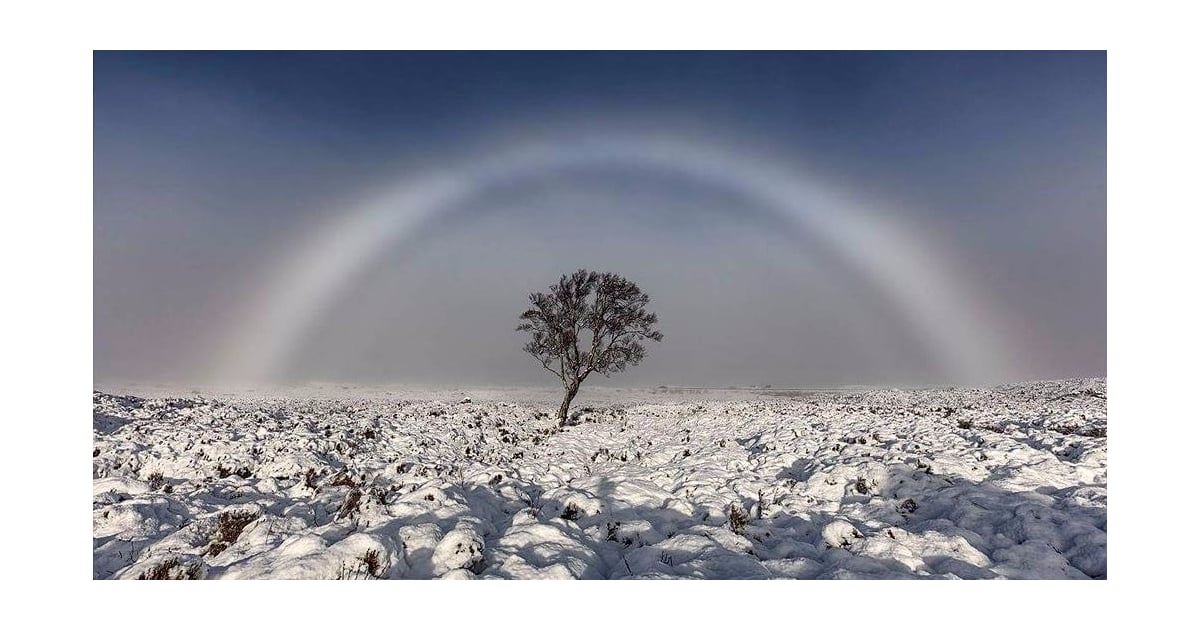 What Is a White Rainbow? POPSUGAR Tech