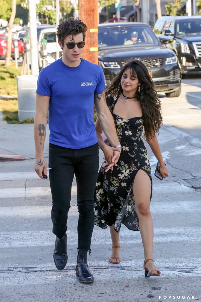 Camila Cabello and Shawn Mendes Holding Hands in West Hollywood, CA