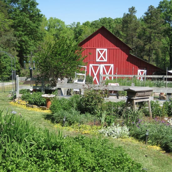 Win a Farm With an Essay | Video