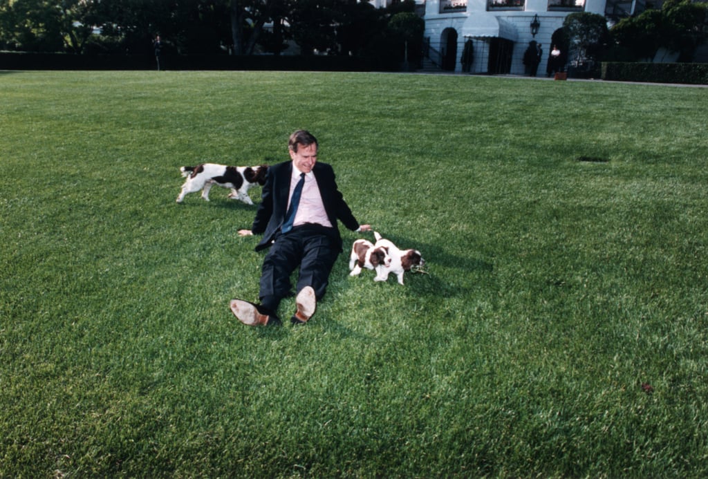 George H. W. Bush, Millie, and Her Puppies