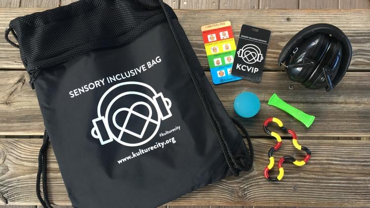 Sensory Inclusive Bag