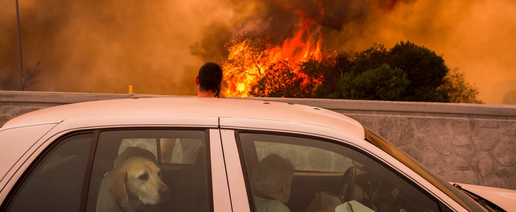 Hurricane Harvey, Hurricane Irma, and La Tuna Fire Photos