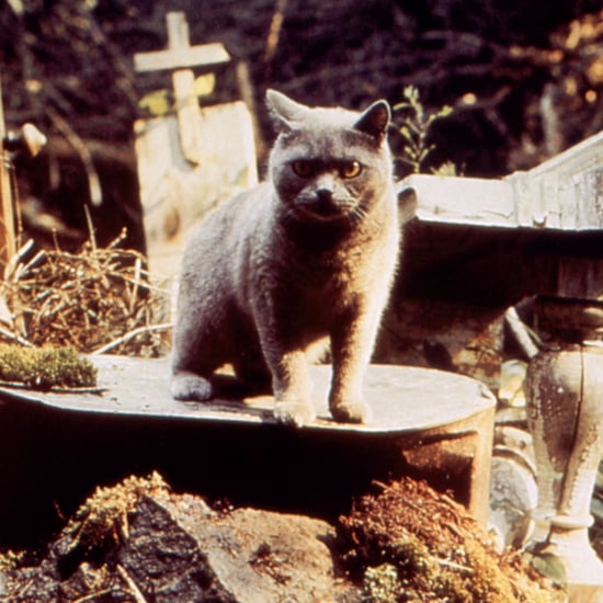 Pet Sematary Reboot Details