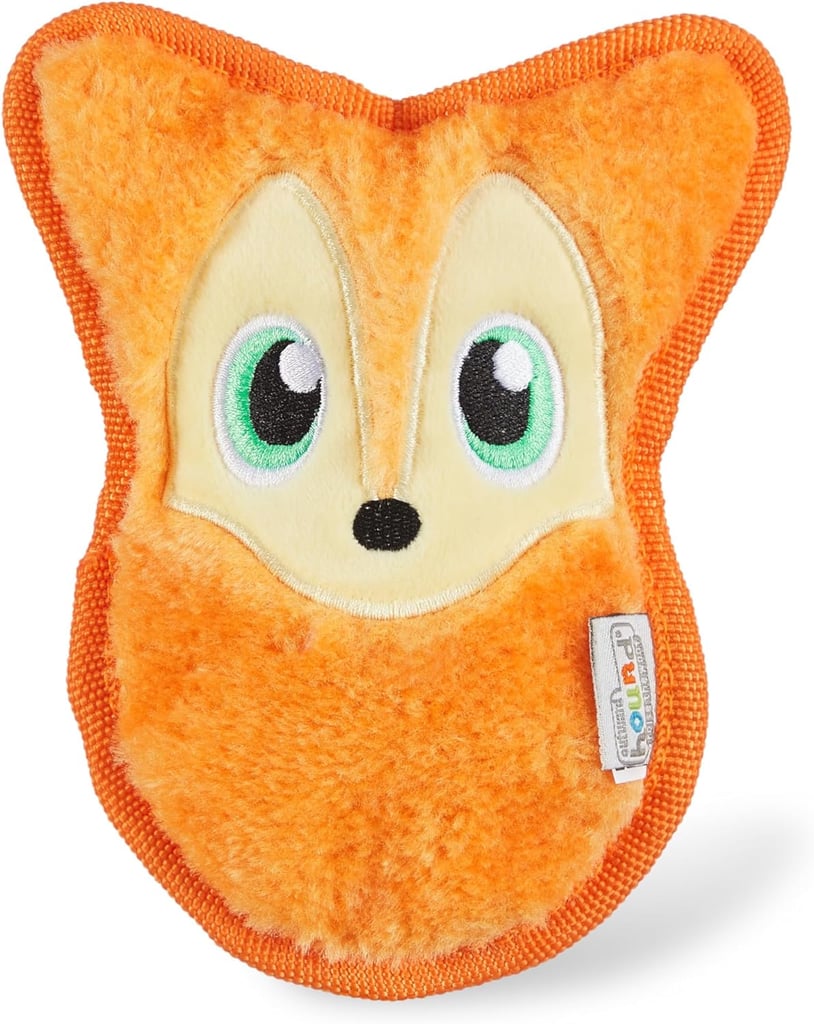 Best Pet Toy