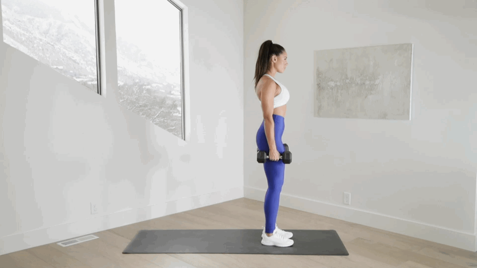 Reverse Lunge With Dumbbells