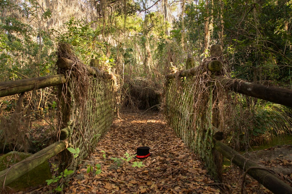 Abandoned Disney Park Photos