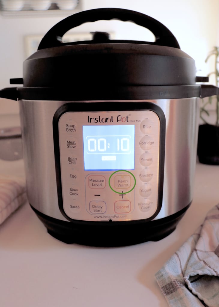 Instant Pot Rice Setting Keep Warm