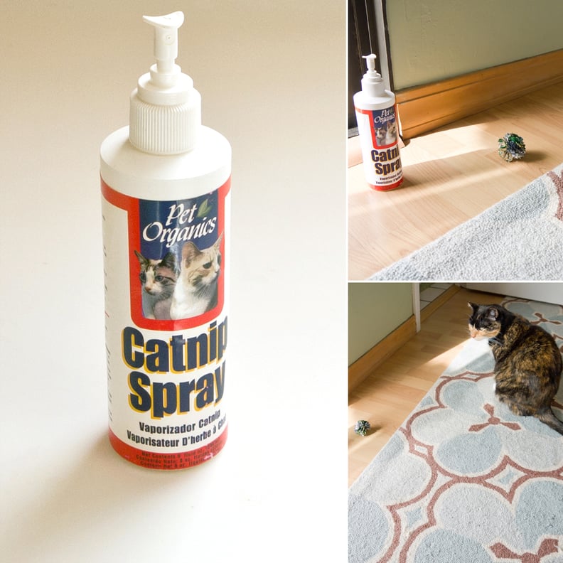 Pet Organics Catnip Spray